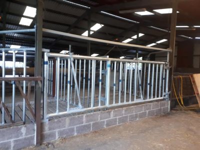 200864305_179435600854852_1854998120834186255_n