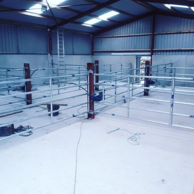 53423708_2229362103943774_7833137650520293376_n